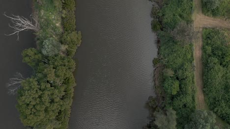 Beautiful-aerial-top-down-shot-of-Parramatta-River-Island,-flying-over-the-river-stream-cinematic-shot