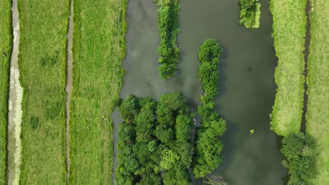 Aerial-birdseye-view-of-a-canals-and-trees-and-a-small-white-boat-emerging-from-under-the-trees,-polder-land-in-the-Krimpenerwaard-region-of-Netherlands