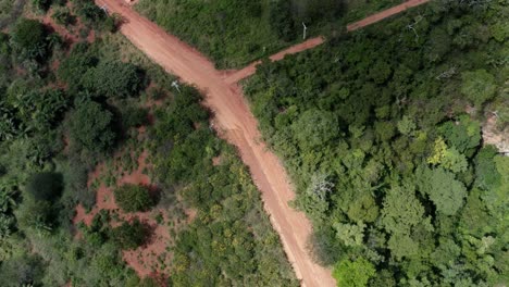 Bird's-eye-rotating-aerial-drone-shot-following-a-large-bird-flying-over-a-small-red-dirt-road-and-palm-trees-in-the-countryside-of-Northern-Brazil-in-the-Chapada-Diamantina-National-Park