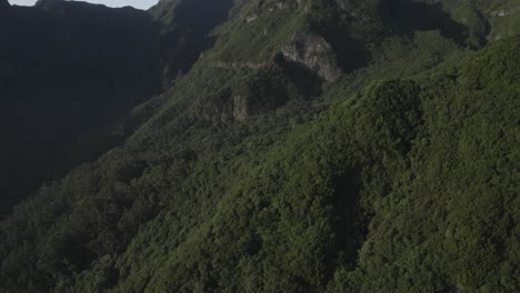 Drohnenschuss-Von-üppiger-Und-Grüner-Natur-In-Madeira