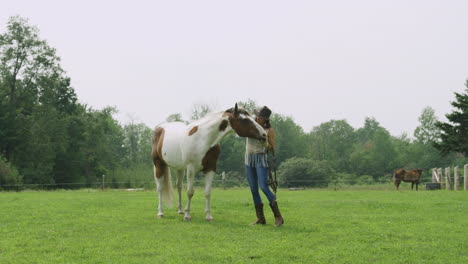 Young-adult-cowgirl-feeds-and-pets-her-pinto-horse-in-a-field