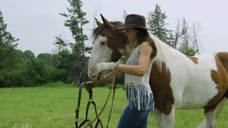 Trained-young-woman-rider-puts-a-bridle-on-her-male-pinto-horse
