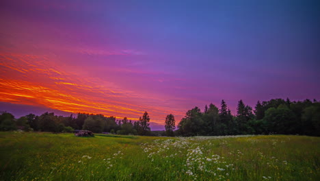 A-colorful-orange-and-blue-sunset-at-dusk-over-a-field-of-wildflowers-and-a-forest---time-lapse