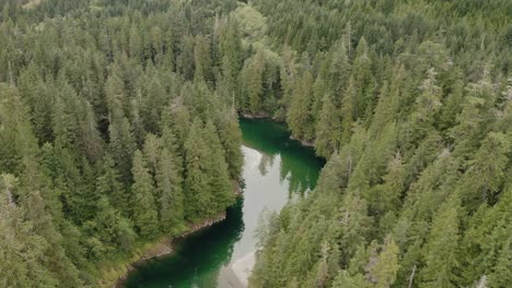 Un-Hermoso-Río-Que-Atraviesa-Un-Trozo-De-Bosque-En-La-Isla-De-Vancouver