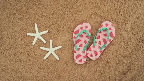 Top-down-shot-of-a-pair-of-flip-flops-and-sea-stars-in-the-beach,-travel-and-vacation-background-concept