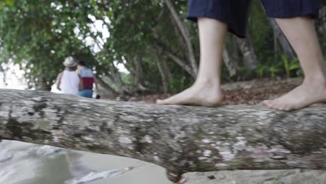 Walking-barefoot-on-the-trunk-of-a-fallen-tree-on-the-beach-while-maintaining-balance,-adventure-concept