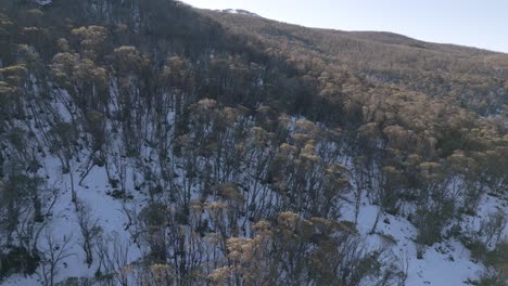 Aerial-view-above-the-snowy-mountain-forest-at-Thredbo-Village,-New-South-Wales