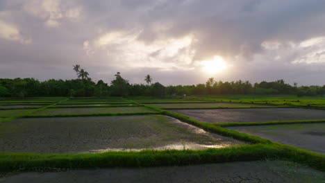 Luftdrohnenaufnahme-Von-Trockenen,-Rissigen-Reisfeldern-Ohne-Reisanbau-An-Bewölkten-Tagen