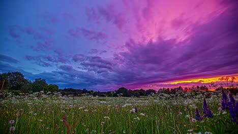 Erstaunlich-Farbenprächtiger-Sonnenuntergang-über-Einer-Wiese-Mit-Wildblumen---Zeitraffer-Wolkenlandschaft