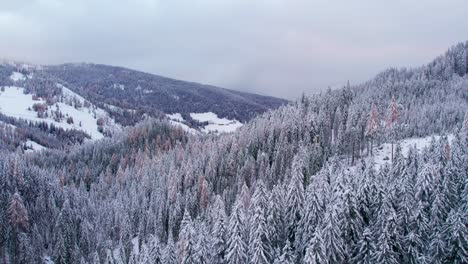 Schneebedeckter-Pinienwald-In-Prags-Dolomiten,-Antenne