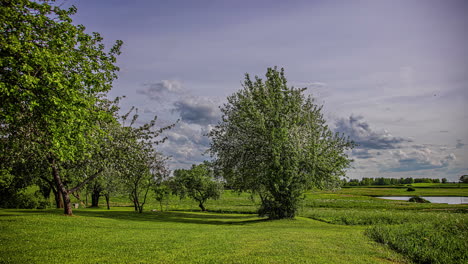 Timelapse-shot-of-cloud-movement-over-trees-in-rural-countryside-in-timelapse-at-daytime