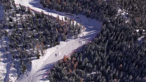 Empty-ski-slope-through-pine-tree-forest-in-Dolomites-Italy,-aerial