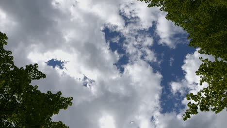 Down-top-view-of-white-clouds-against-dark-blue-sky-moving-between-trees