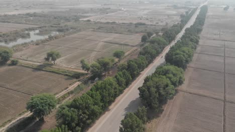 Drone-footage-of-Pakistan-Highway-in-a-lovely-green-field-in-Khairpur,-Sindh,-Pakistan-shows-few-automobiles-on-the-tree-lined-route