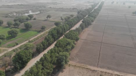 Aerial-View-Of-Road-Going-Through-Rural-Farmlands-In-khairpur