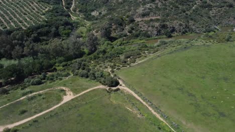 Luftaufnahmen-Von-Drohnen-Mit-Blick-Auf-Das-Tal-Und-Dann-Auf-Die-Berge
