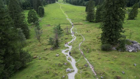 Top-drone-aerial-view-of-a-mountain-path-near-a-fir-tree-forest-in-the-swiss-alps,-people-walk,-grass-meadow,-Engelberg,-Obwalden