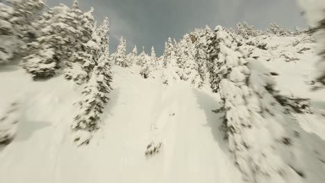 Dron-Fliegt-Durch-Schneebedeckte-Bäume,-Bis-Zur-Spitze-Des-Berges,-Winter