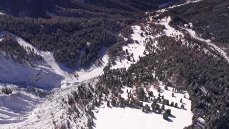 Winter-snowy-valley-in-Italian-alps-with-pine-tree-woodland,-aerial