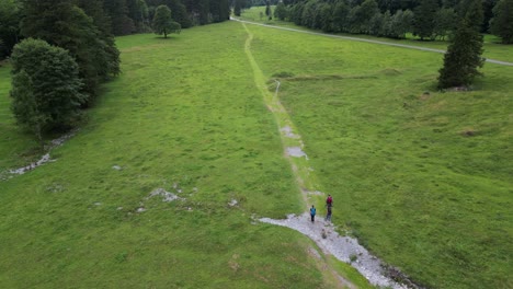 People-walk-on-a-small-natural-path-in-the-swiss-alps,-meadow-near-forest,-Top-drone-aerial-view,-Obwalden,-Engelberg