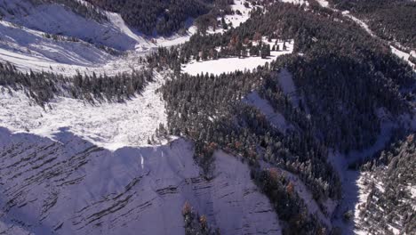 Mountain-landscape-with-pine-tree-forest-during-winter-on-steep-slope,-aerial