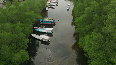 Algenbauerngemeinschaft-Im-Mangrovenwald-Auf-Der-Tropischen-Insel,-Am-Ufer-Verankerte-Boote,-Antenne