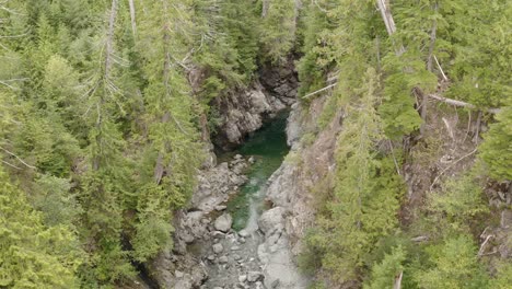 A-river-is-flowing-through-a-canyon-surrounded-by-trees