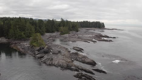 A-high-and-wide-shot-of-Botanical-Beach-on-the-coast-of-Port-Renfrew,-British-Columbia