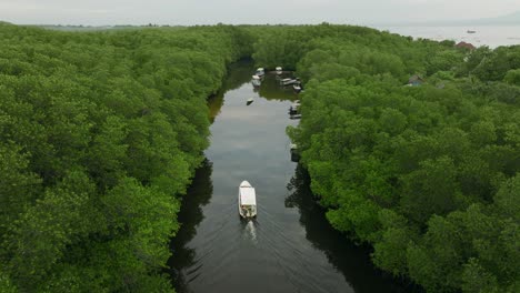 Langes-Boot,-Das-Sich-Langsam-Durch-Mangrovenwälder-An-Der-Küste-Von-Nusa-Lembongan-Bewegt