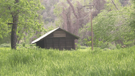 Static-wide-shot-of-brown-shed-in-grassy-knoll