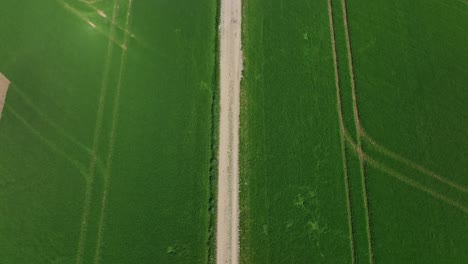 Green-agricultural-field-with-a-driving-tractor-as-look-up-drone-shot