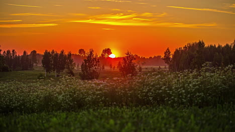 Sunset-time-lapse-with-sun-in-a-fiery-orb-descends-below-the-horizon-in-a-wildflower-and-a-forest-landscape