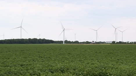 Windkraftanlagen-In-Einem-Landwirtschaftlichen-Bereich-In-Den-Niederlanden,-Europa-3