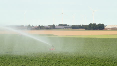 Landwirtschaftliches-Bewässerungssystem,-Das-Wasser-über-Pflanzen-Sprüht,-Windturbinen-Im-Hintergrund,-Zeitlupe