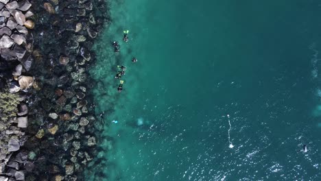 A-drone-flies-over-a-group-of-scuba-divers-exploring-an-underwater-rocky-shoreline