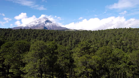 Drone-shot-of-the-pine-forest-that-is-part-of-the-popocatepetl-volcano-nature-reserve-in-mexico-city