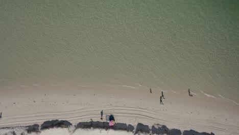 Body-Boarders-Entering-Winter-Sea-From-Sandy-Beach-Aerial-Bird's-Eye-View-Copy-Space