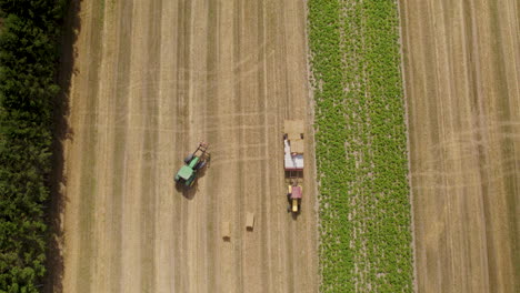 Top-down-View-Of-Tractor-Working-On-A-Wheat-Field---drone-shot