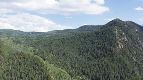 Vista-De-Gran-Altitud-Sobre-El-Dosel-De-Los-árboles-De-Las-Montañas-Wasatch,-Utah,-Estados-Unidos