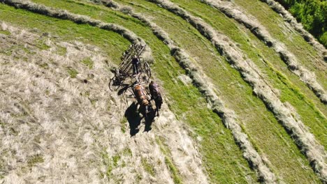 Amischer-Bauernjunge-Auf-Einem-Pferdetraktor,-Der-Heu-Ausschöpft