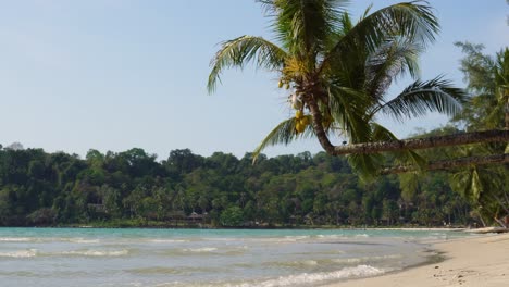Una-Impresionante-Playa-Tropical-Con-Palmeras,-Aguas-Cristalinas-Y-Olas-En-Un-Día-Soleado-Y-Azul-Claro-En-La-Isla-De-Koh-Kood-En-Tailandia-En-Asia