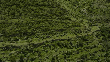 Ancient-Agricultural-Terraces-Covered-With-Vegetation-In-Rural-Town-Of-Aspindza-At-Paravani-River-In-Georgia