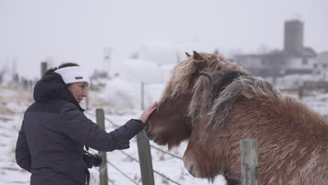 Woman-touching-Icelandic-Horses-in-Iceland