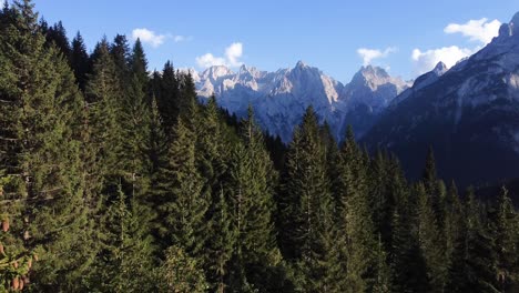 A-4K-shot-from-the-Dolomites,-flying-a-drone-toward-the-impressive-mountains-and-rock-formations,-passing-by-a-forest-of-pine-trees-in-Itay