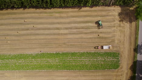 Combine-Harvester-Gathers-The-Wheat-In-The-Field---drone-shot