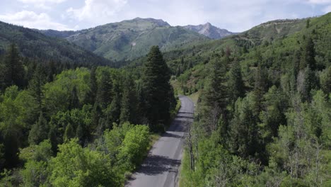 Scenic-road-in-American-Fork-Canyon-cutting-through-lush-green-forest