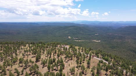 4K-drone-flying-over-a-cliff-with-a-valley-full-of-green-ponderosa-pine-trees-in-the-background-on-the-mogollon-rim-in-payson-arizona