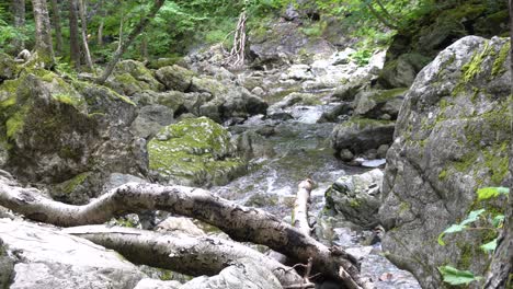 A-river-is-flowing-in-a-loop-in-dense-woods-with-rocks