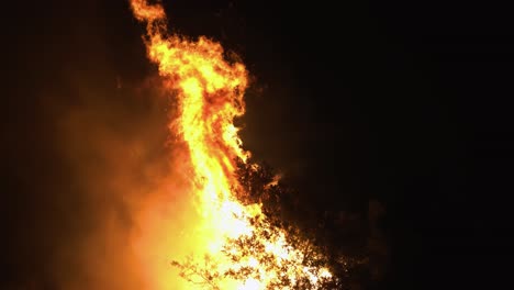Feuerflammen,-Die-Auf-Einem-Silhouettenbaum-Toben,-In-Nachtdunkelheit---Handheld-Ansicht
