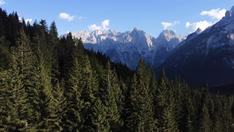 A-4K-drone-shot-of-a-pine-tree-forest-with-the-outstanding-mountains-in-the-background-in-the-beautiful-area-of-the-Dolomites-in-North-Italy